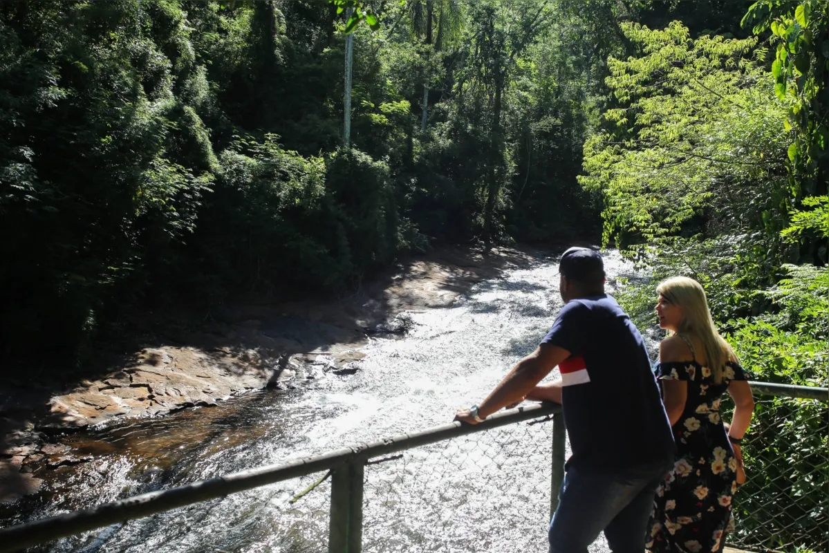 Parque Arthur Thomas: para quem quer fugir do caos urbano