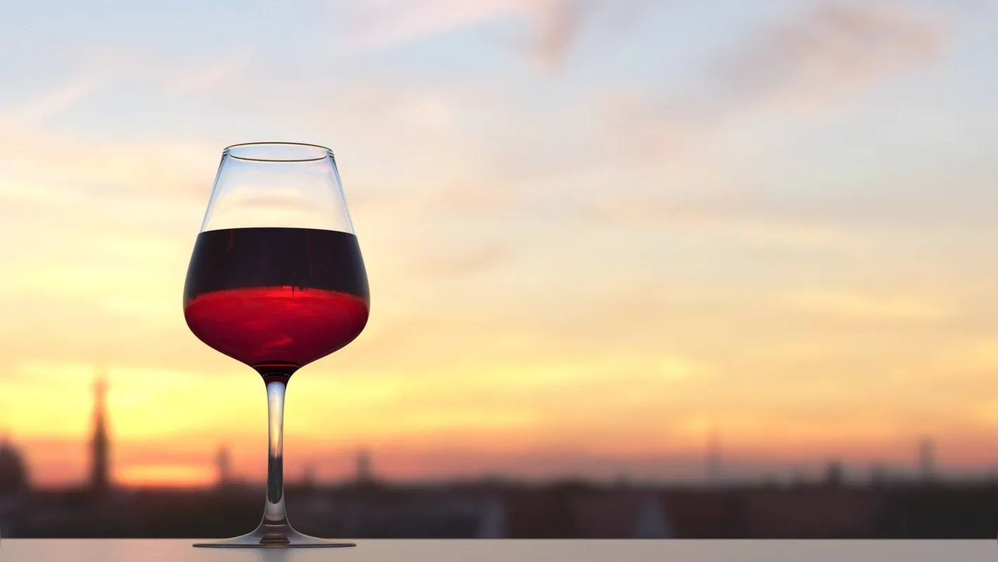 Imagem ilustrativa da imagem MULTI CHEF - Bons vinhos, bons amigos, boas escolhas!