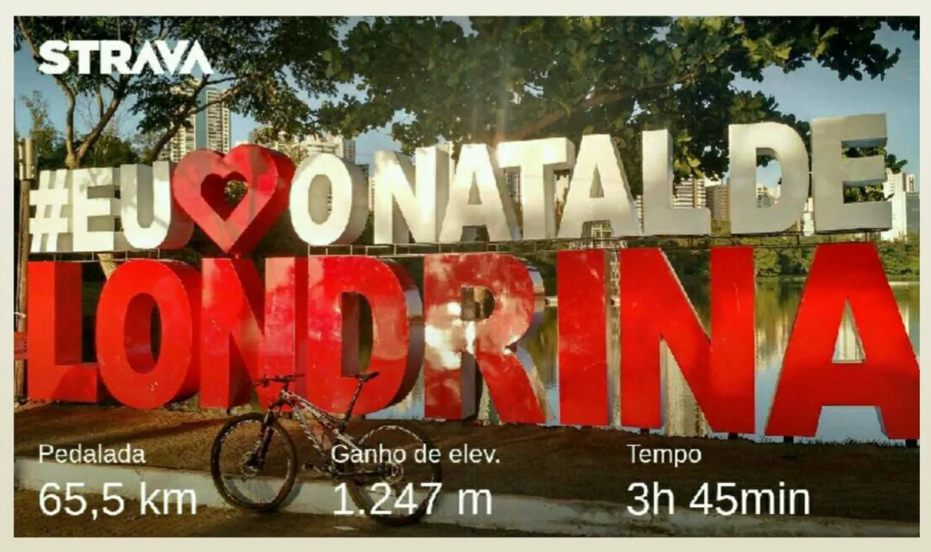Rogério Festti