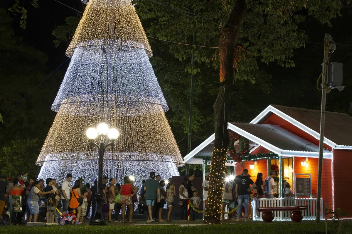 Um dos atrativos mais fortes do Natal de Londrina, as grandes árvores iluminadas estão espalhadas pela cidade 