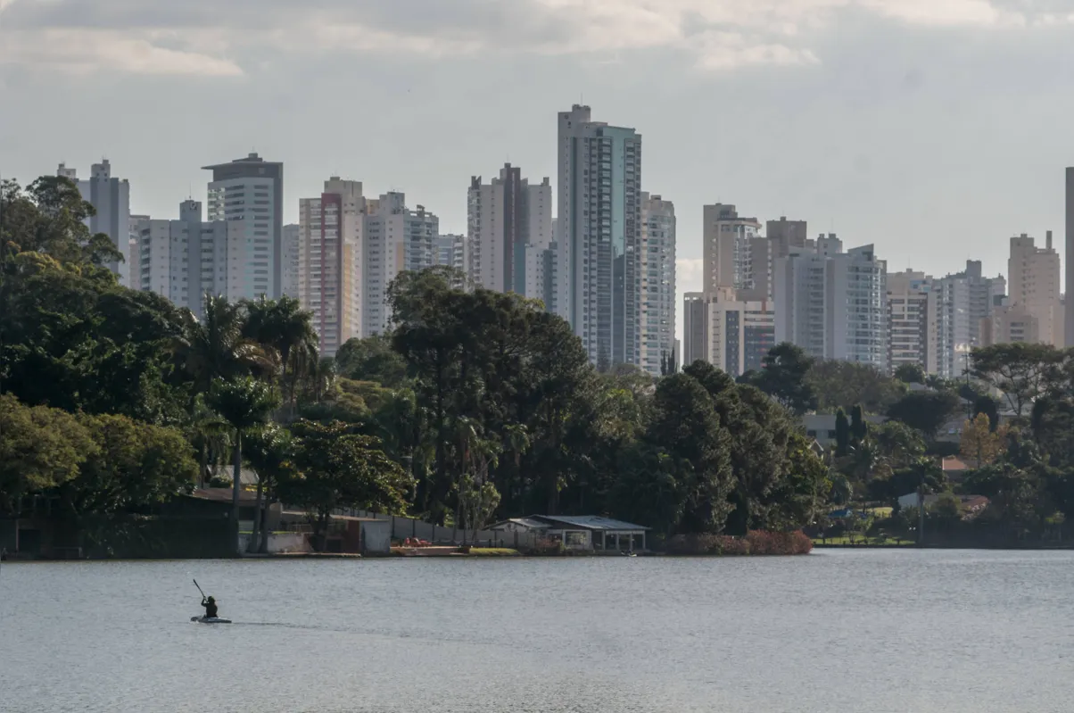 Imagem ilustrativa da imagem O surfista do lago
