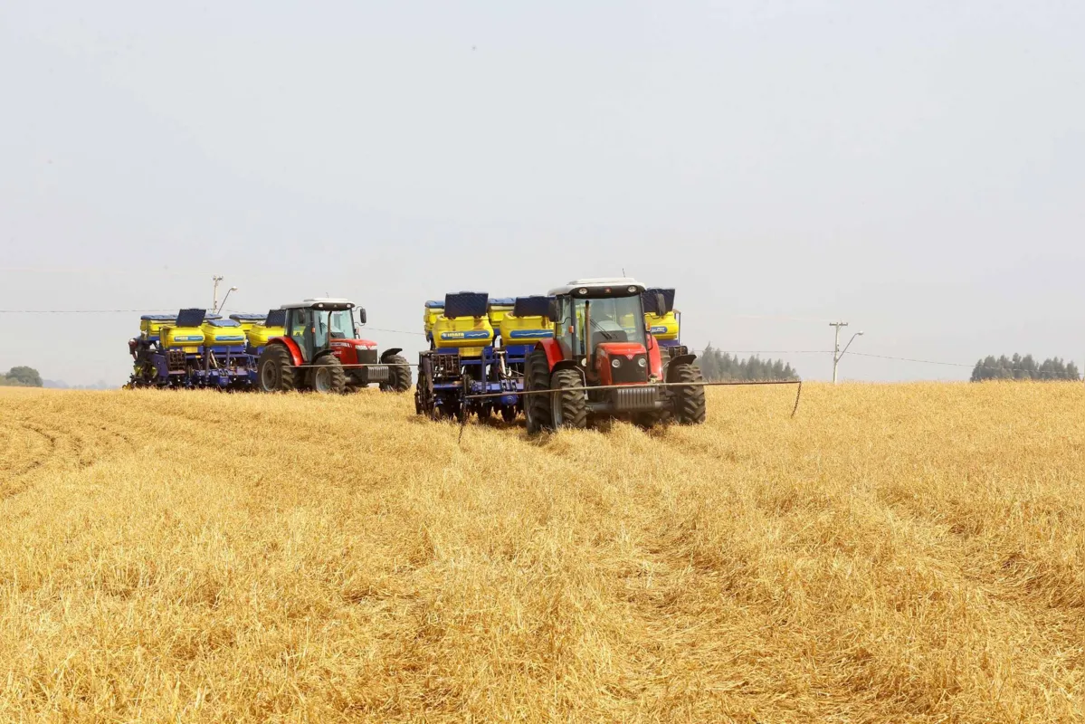 Decisão dará mais segurança para os produtores, considerando as diferenças climáticas no Estado
