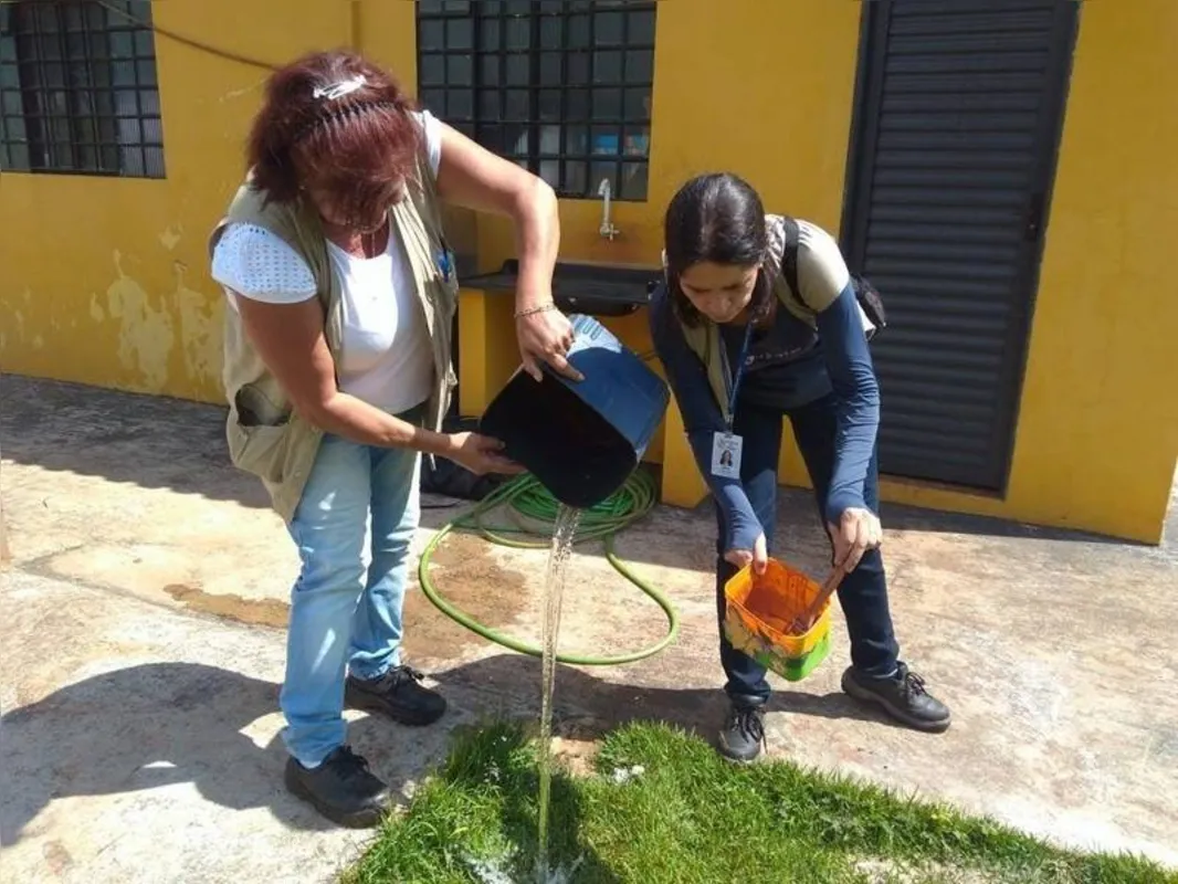 Imagem ilustrativa da imagem Prefeitura de Ibiporã vai multar quem mantiver focos da dengue em casa