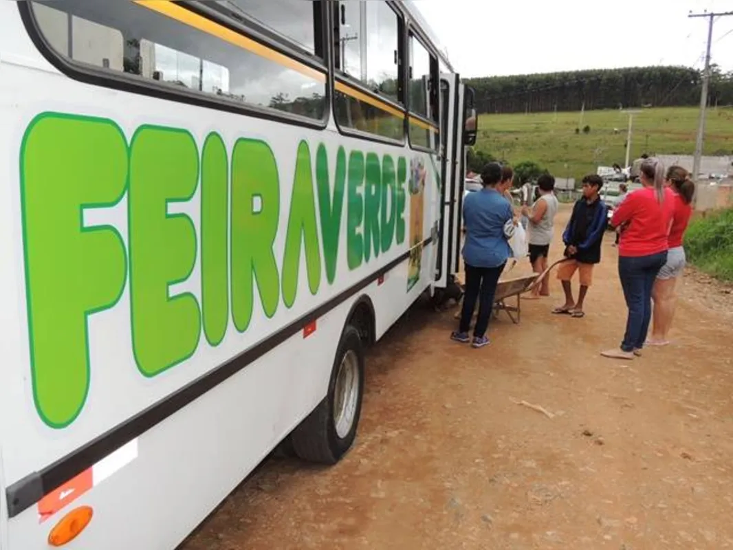 Imagem ilustrativa da imagem Programa impacta no combate à dengue em Jaguariaíva