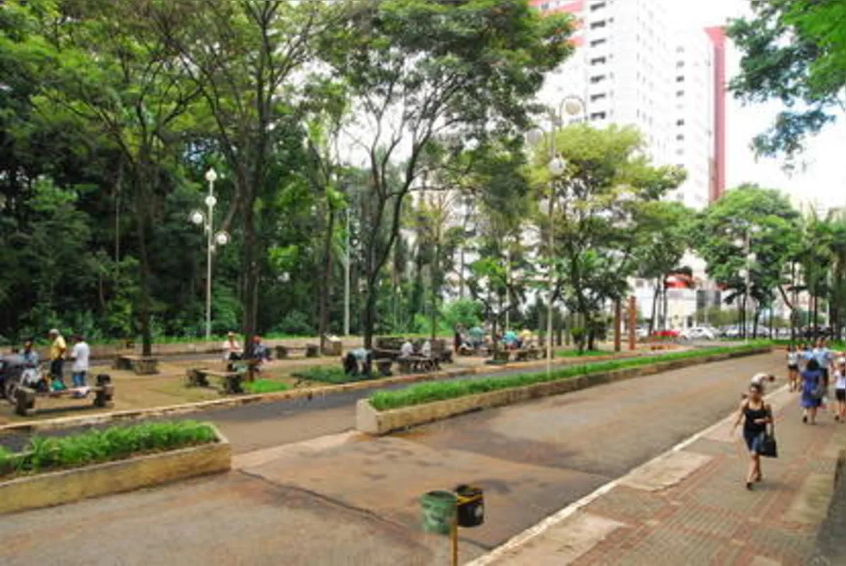 Imagem ilustrativa da imagem Projeto que transforma Bosque em praça será debatido em audiência