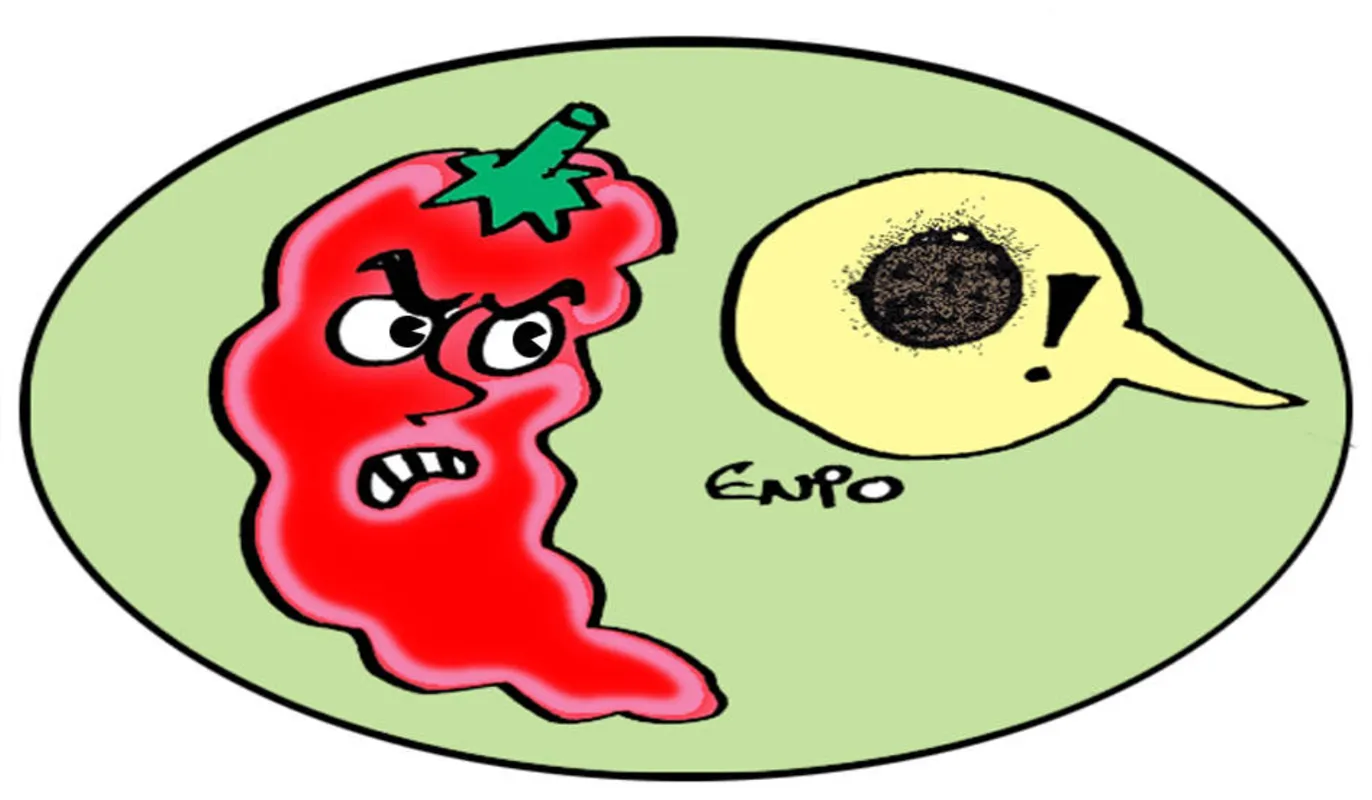 Imagem ilustrativa da imagem Residência oficial de Senado vira casa de veraneio