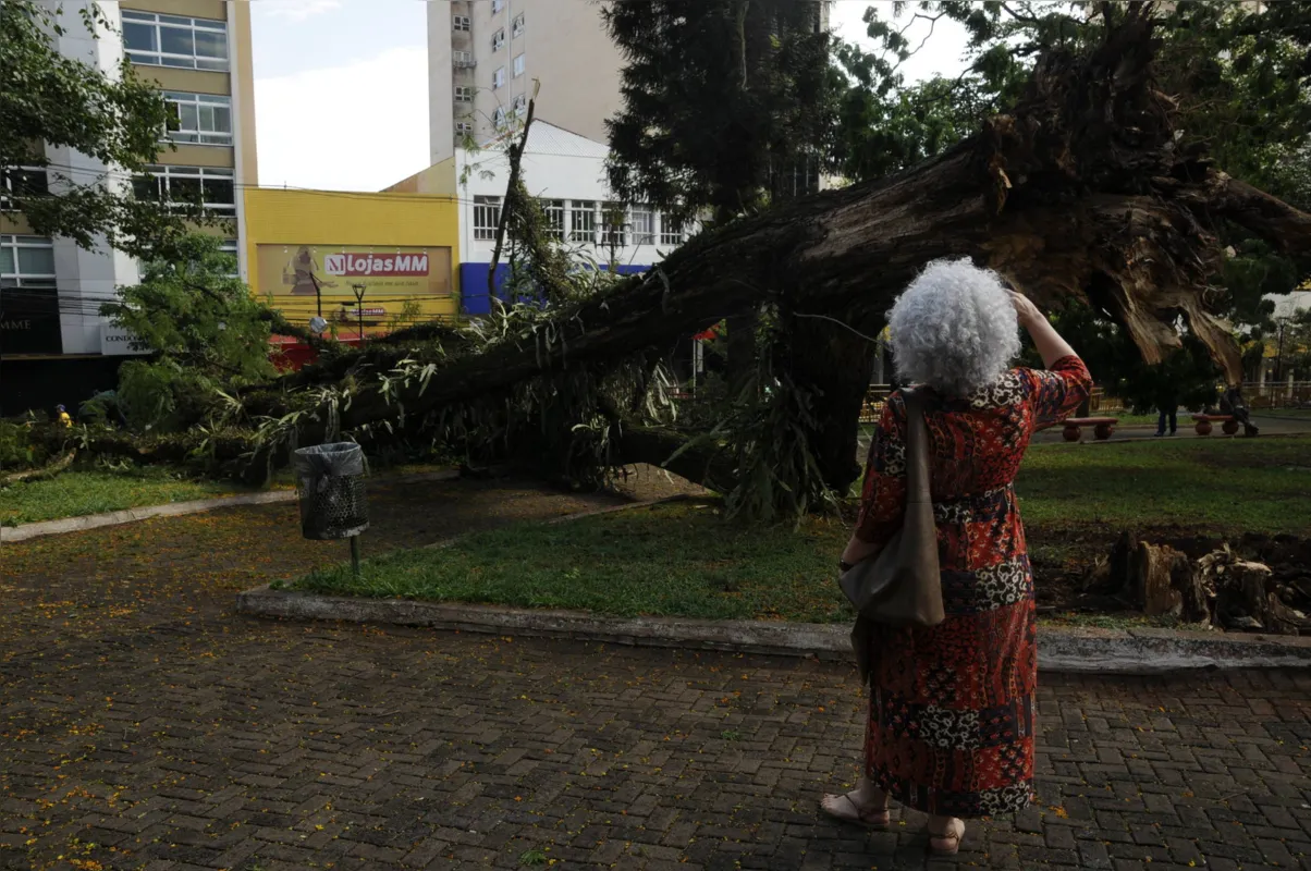 Imagem ilustrativa da imagem Temporal deixa estragos em Londrina