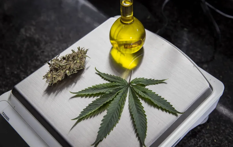 Aprovação das mudanças ocorre um mês após a agência aprovar medidas que dão aval à venda de produtos à base de Cannabis em farmácias 