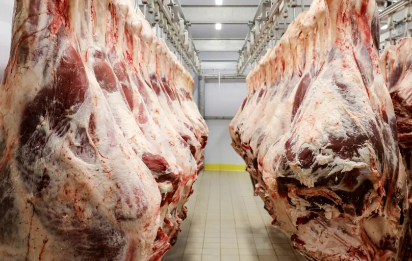 Os EUA suspenderam a compra de carne bovina in natura do Brasil em meados de 2017, na esteira da operação Carne Fraca, que revelou um esquema de adulteração de atestados fitossanitários da carne vendida nos mercados interno e externo
