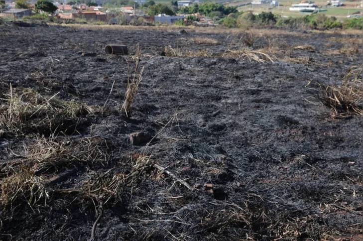 Imagem ilustrativa da imagem Aumenta o número de incêndios ambientais em Londrina
