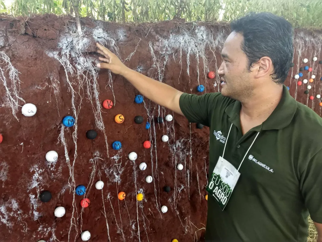 O engenheiro agrônomo Alexandre Yamamoto destaca sobre a importância do bom manejo do solo