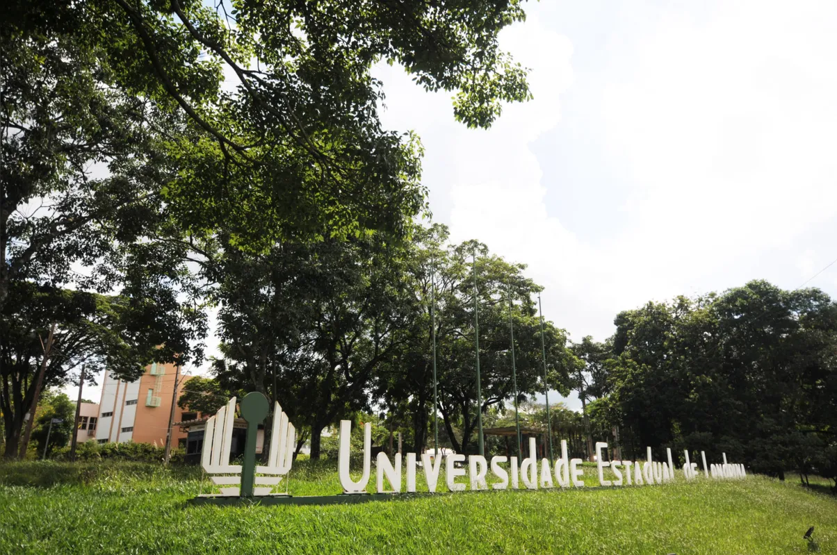 Imagem ilustrativa da imagem AL discute regulamentação de cargos e lei geral das universidades