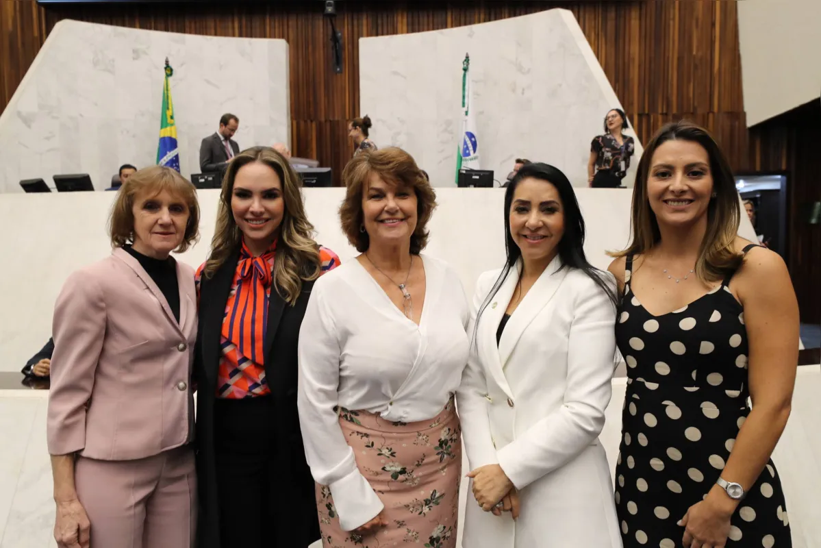 Imagem ilustrativa da imagem AL volta atenção aos direitos da mulher