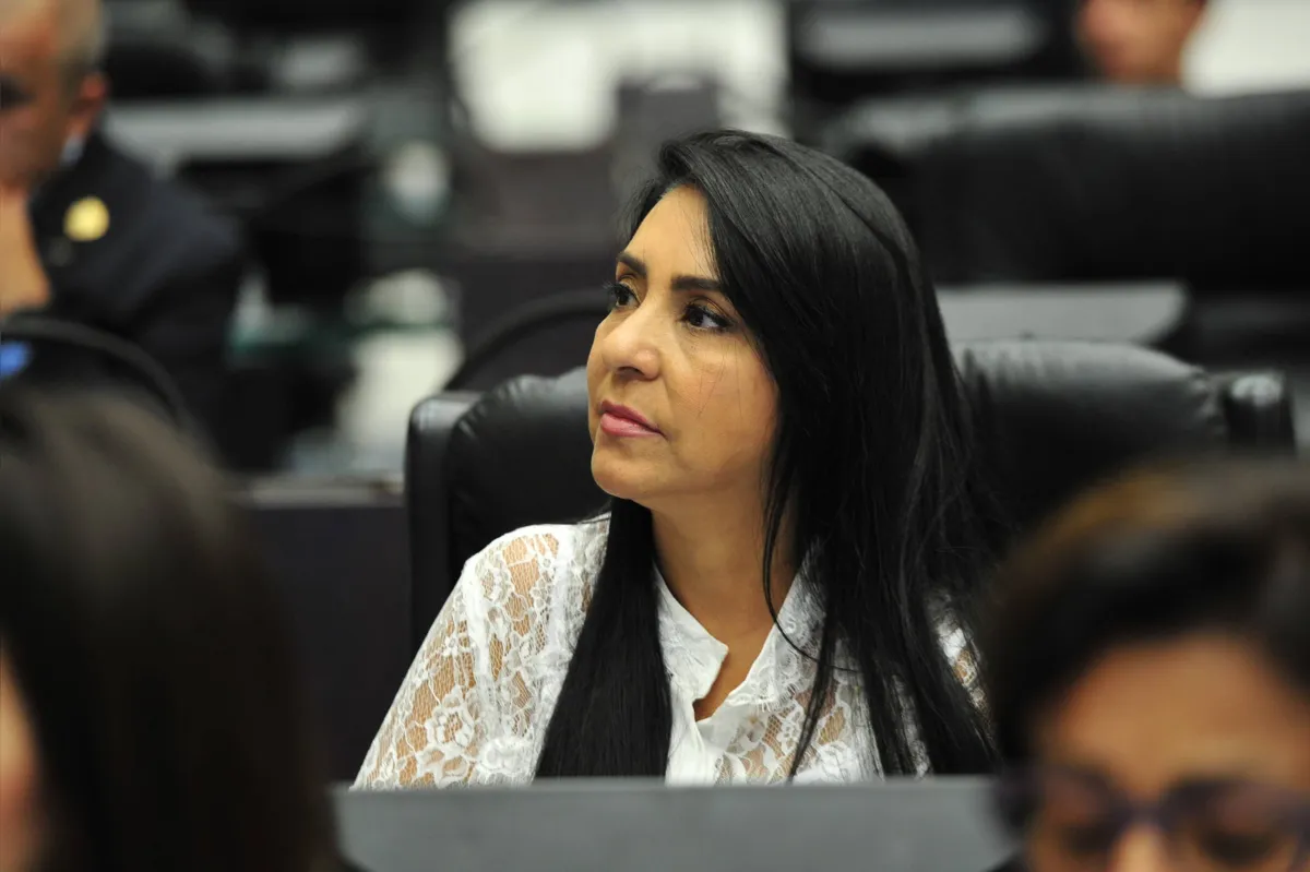 Imagem ilustrativa da imagem Agressores de mulheres não poderão ocupar cargos públicos