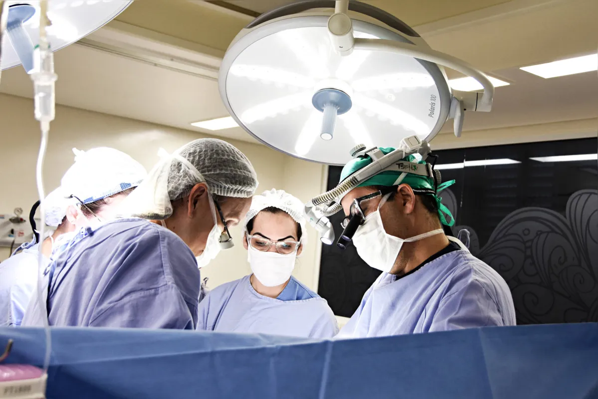 Imagem ilustrativa da imagem Após cinco anos, PR volta a realizar transplante pediátrico de fígado