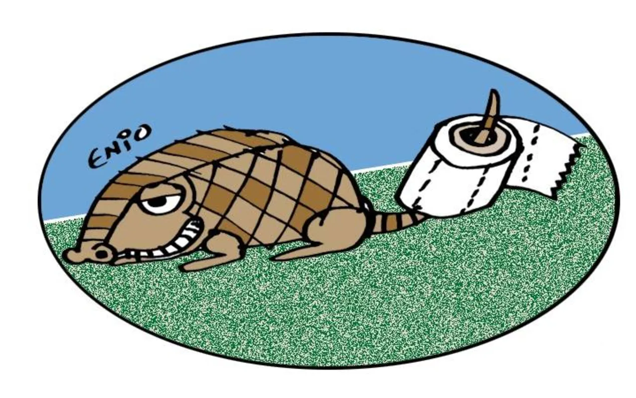 Imagem ilustrativa da imagem Bolsonaro estabelece relação direta com líderes