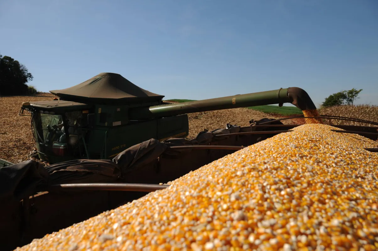 Imagem ilustrativa da imagem Brasil pode perder exportação agrícola ao Irã para Argentina