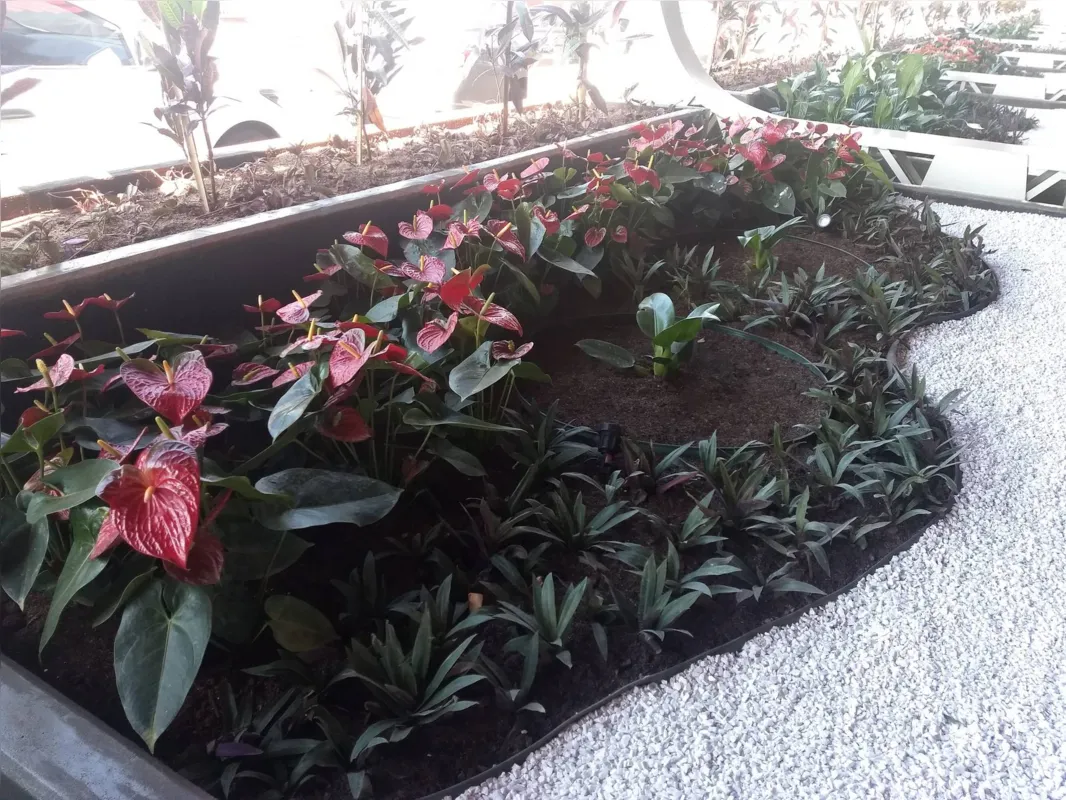 Floreiras foram implantadas no novo espaço.