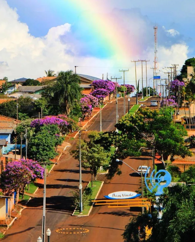 Imagem ilustrativa da imagem Caminho de quaresmeiras