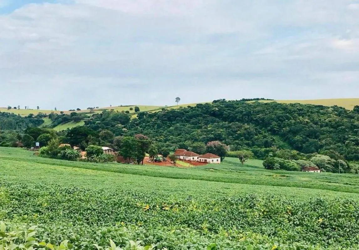 Imagem ilustrativa da imagem Cidade verde