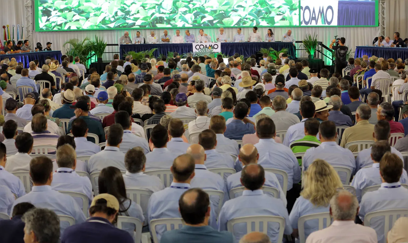 Imagem ilustrativa da imagem Coamo teve receita global de R$ 13,97 bilhões em 2019