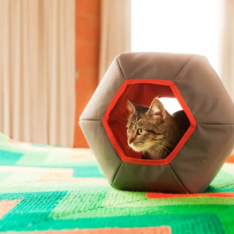 Esconderijos são fundamentais para o felino, como  toca anatômica