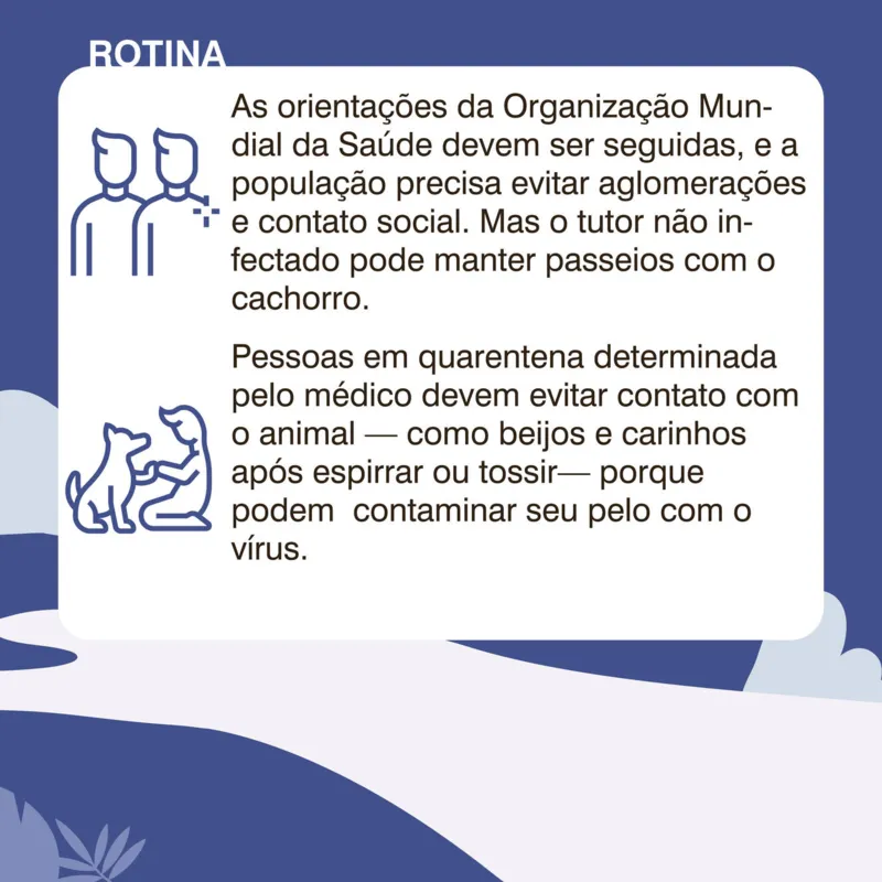 Imagem ilustrativa da imagem Como ficam os pets em tempo de coronavírus?