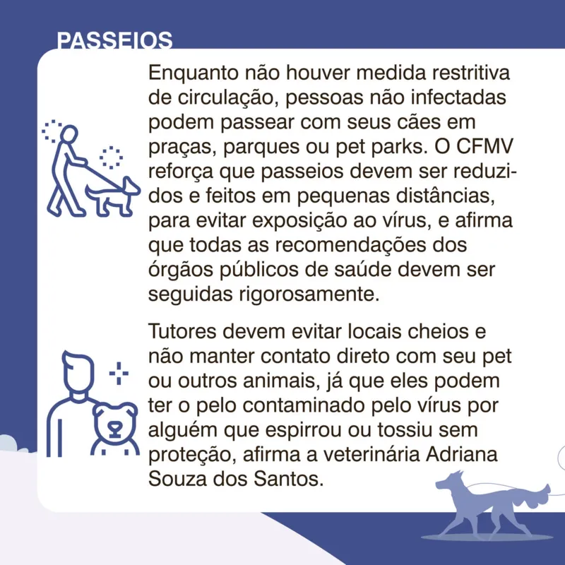 Imagem ilustrativa da imagem Como ficam os pets em tempo de coronavírus?