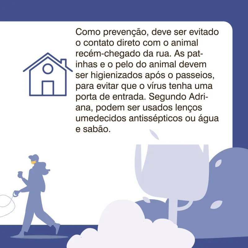 Imagem ilustrativa da imagem Como ficam os pets em tempo de coronavírus?