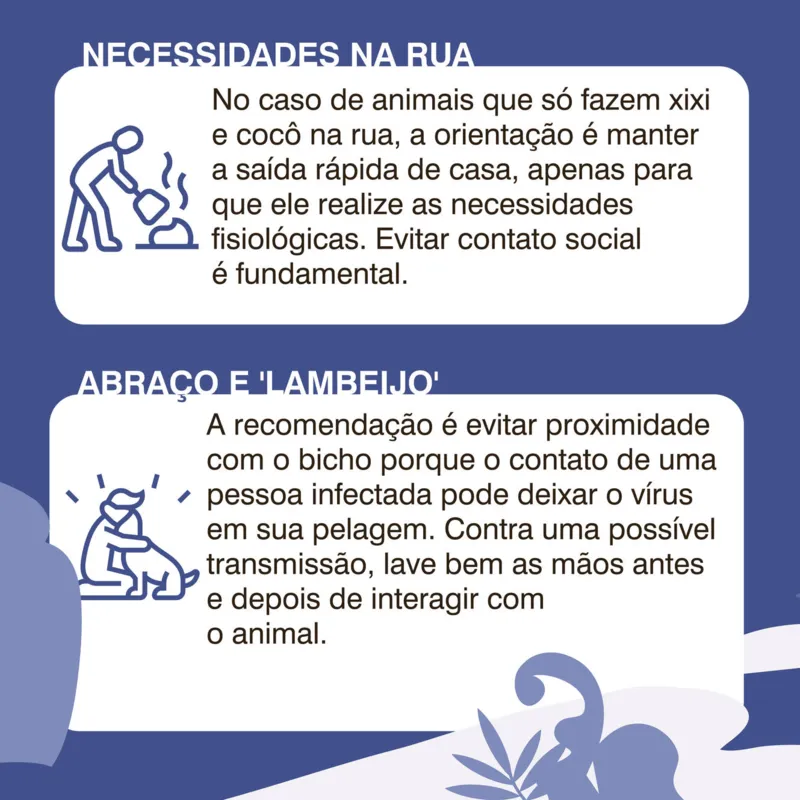 Imagem ilustrativa da imagem Como ficam os pets em tempo de coronavírus?