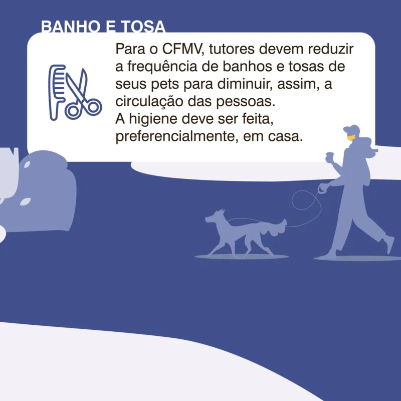 Imagem ilustrativa da imagem Como ficam os pets em tempo de coronavírus?