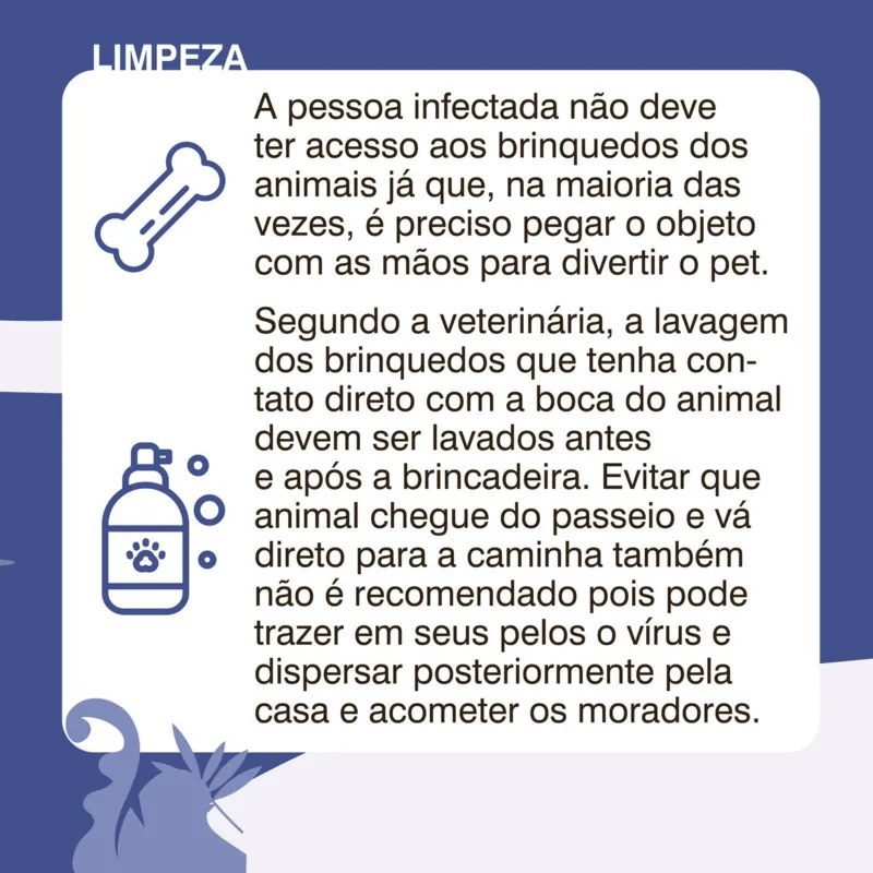 Imagem ilustrativa da imagem Como ficam os pets em tempo de coronavírus?