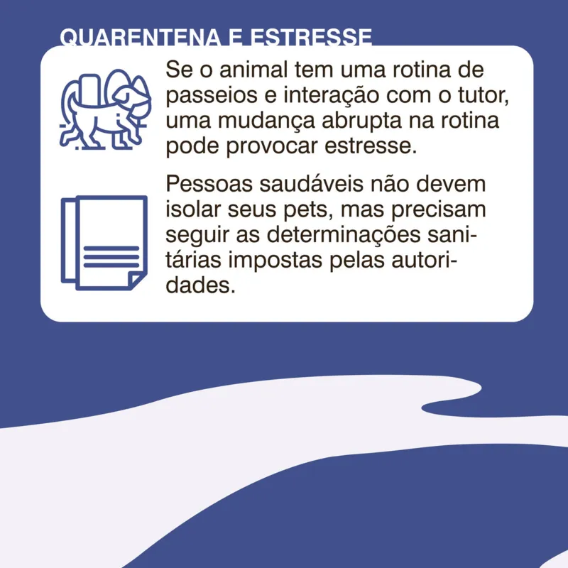 Imagem ilustrativa da imagem Como ficam os pets em tempo de coronavírus?