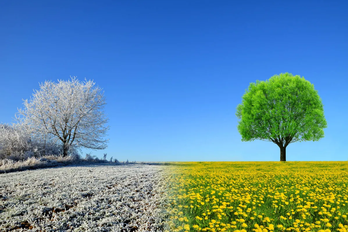 Imagem ilustrativa da imagem Como será a primavera?