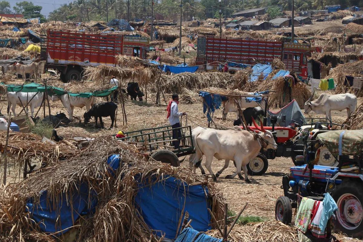 Acampamento improvisado para os trabalhadores que migravam para suas vilas de origem após a imposição do isolamento como medida de prevenção à Covid-19 no estado Maharashtra na Índia