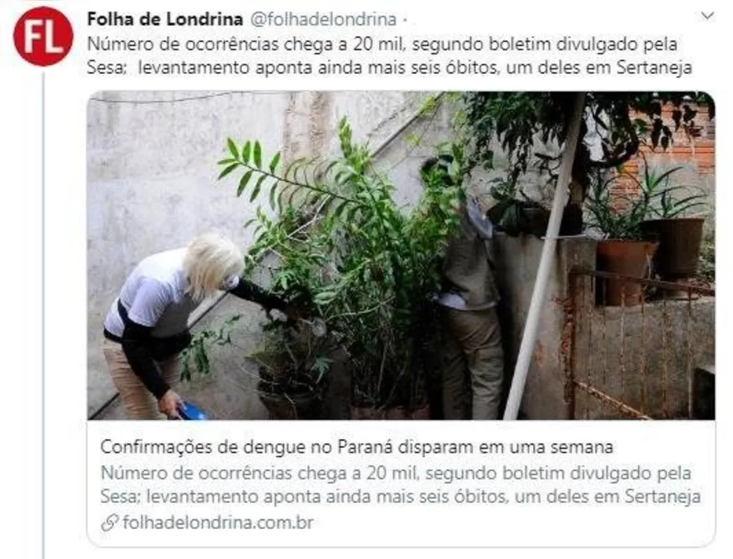Imagem ilustrativa da imagem Dengue em Bandeirantes
