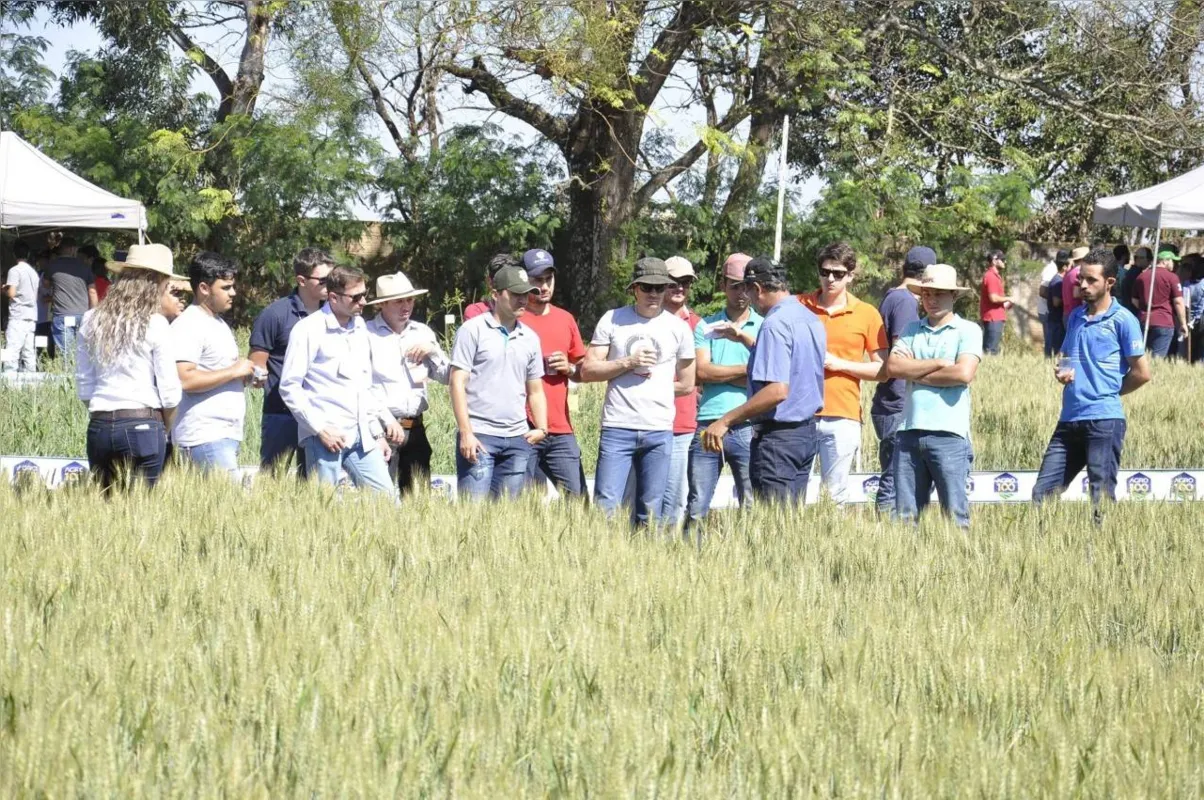Unopar promove Dia de Campo: imersão na cultura da soja 
