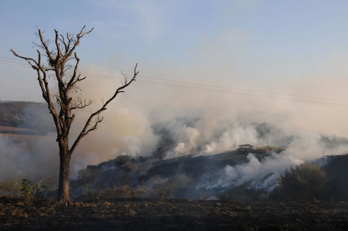 “Chamas queimaram 2 milhões de hectares entre plantações, florestas e campos” (Gustavo Carneiro |2019)