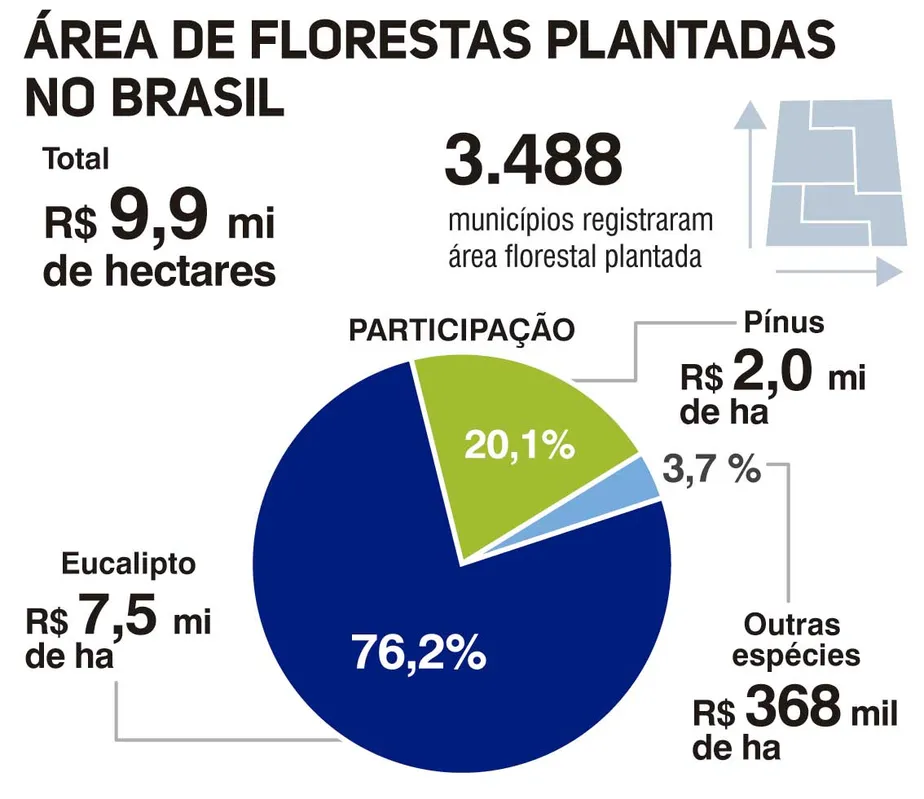 Imagem ilustrativa da imagem Estamos na era da Madeira?