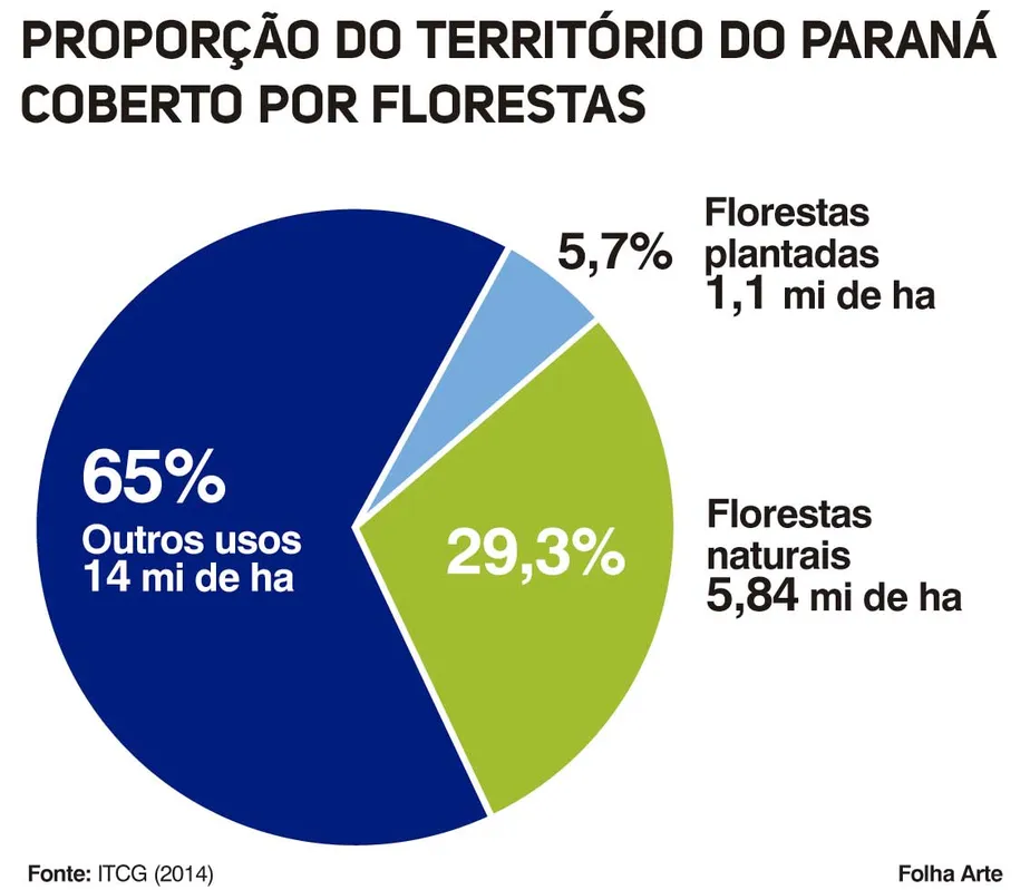 Imagem ilustrativa da imagem Estamos na era da Madeira?