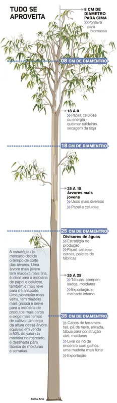 Imagem ilustrativa da imagem Estamos na era da Madeira?
