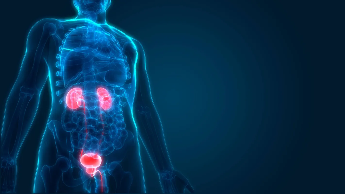 Imagem ilustrativa da imagem HU de Londrina realiza cirurgia em pacientes com  incontinência urinária