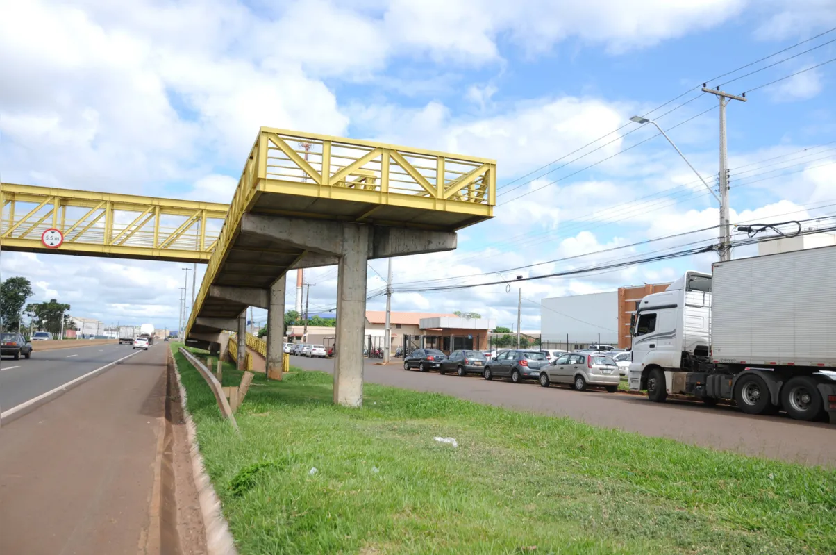 Perímetro urbano da PR-445: atropelamento de animais é problema comum, dizem moradores