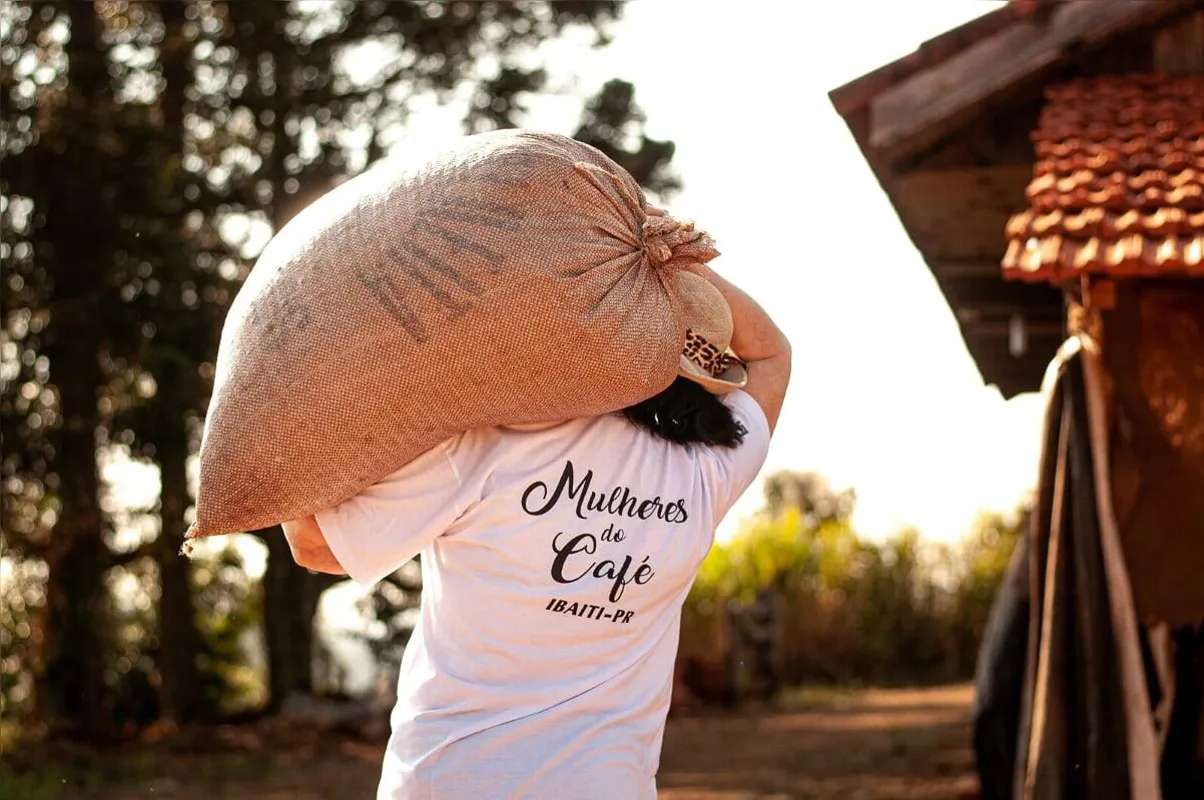 Imagem ilustrativa da imagem Mulheres são protagonistas na produção de café