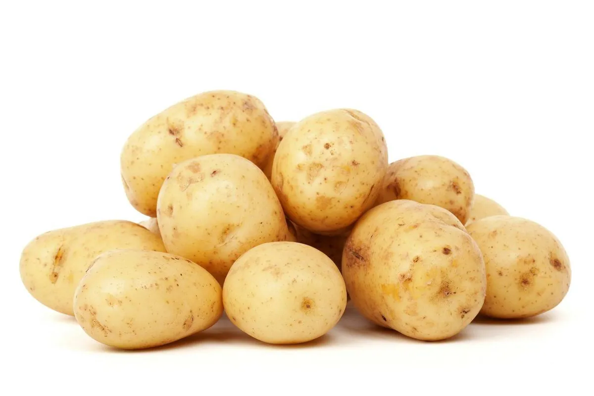 Imagem ilustrativa da imagem Multi Chef - Vá plantar batatas!