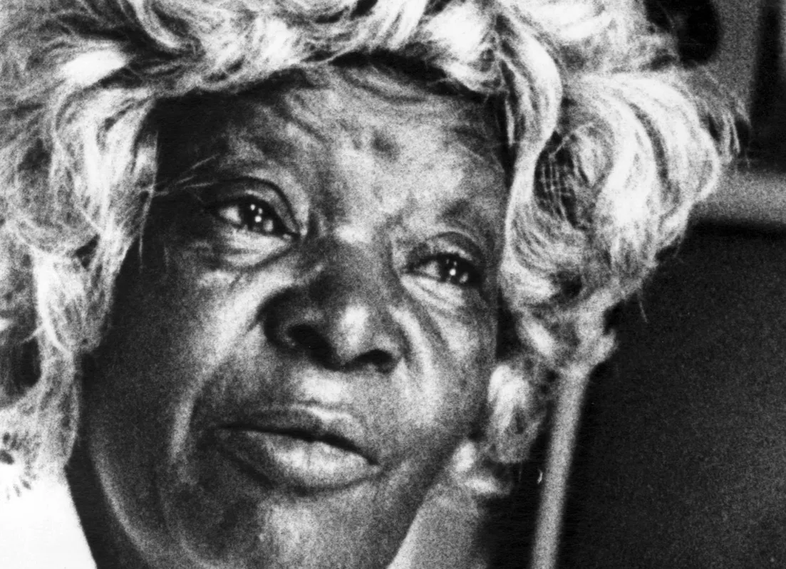 Clementina de Jesus é homenageada na primeira edição do 'Samba das Cabrochas'