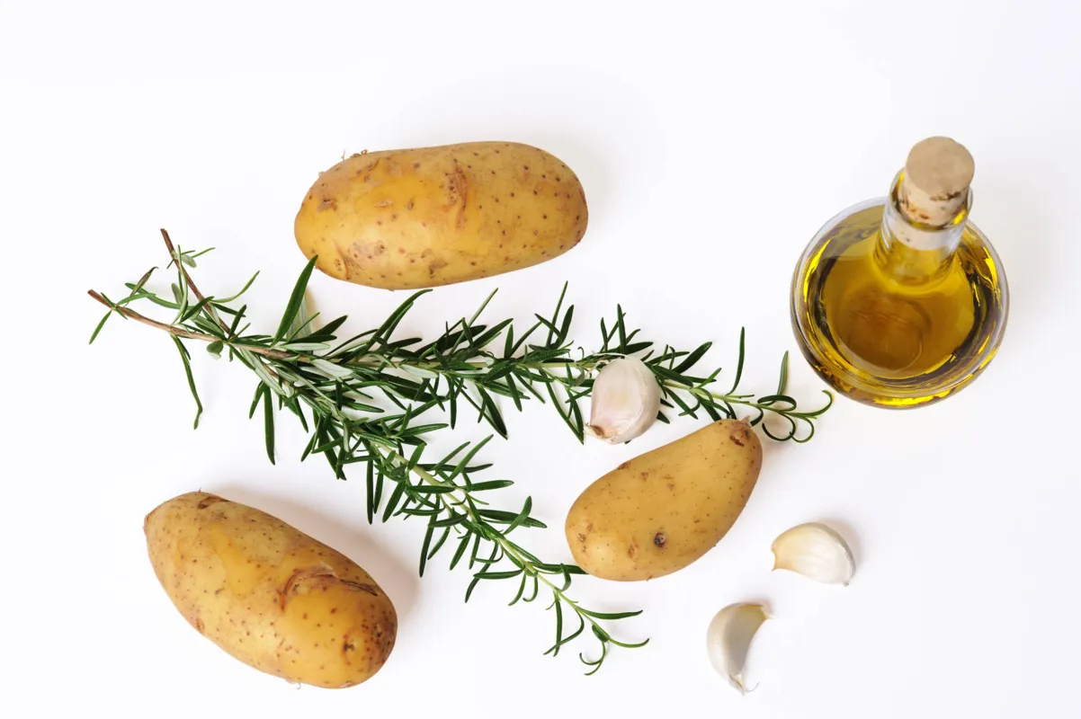 Imagem ilustrativa da imagem Pratos perfumados - Do preparo à mesa, ingredientes dão mais sabor, beleza e aroma às refeições