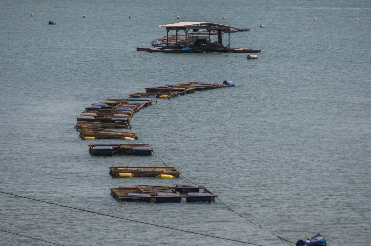 O programa prevê novas regras para quem já conta com unidade produtiva em sua propriedade rural, e incentivos para novos aviários, granjas e tanques para a produção de peixes
