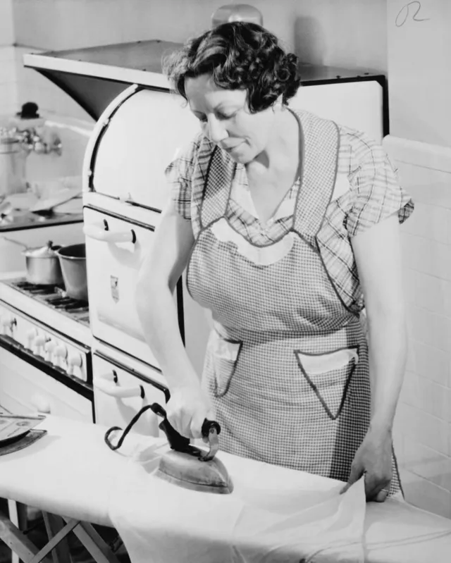 Imagem ilustrativa da imagem #TRADWIVES - Esposas tradicionais no topo das discussões na internet