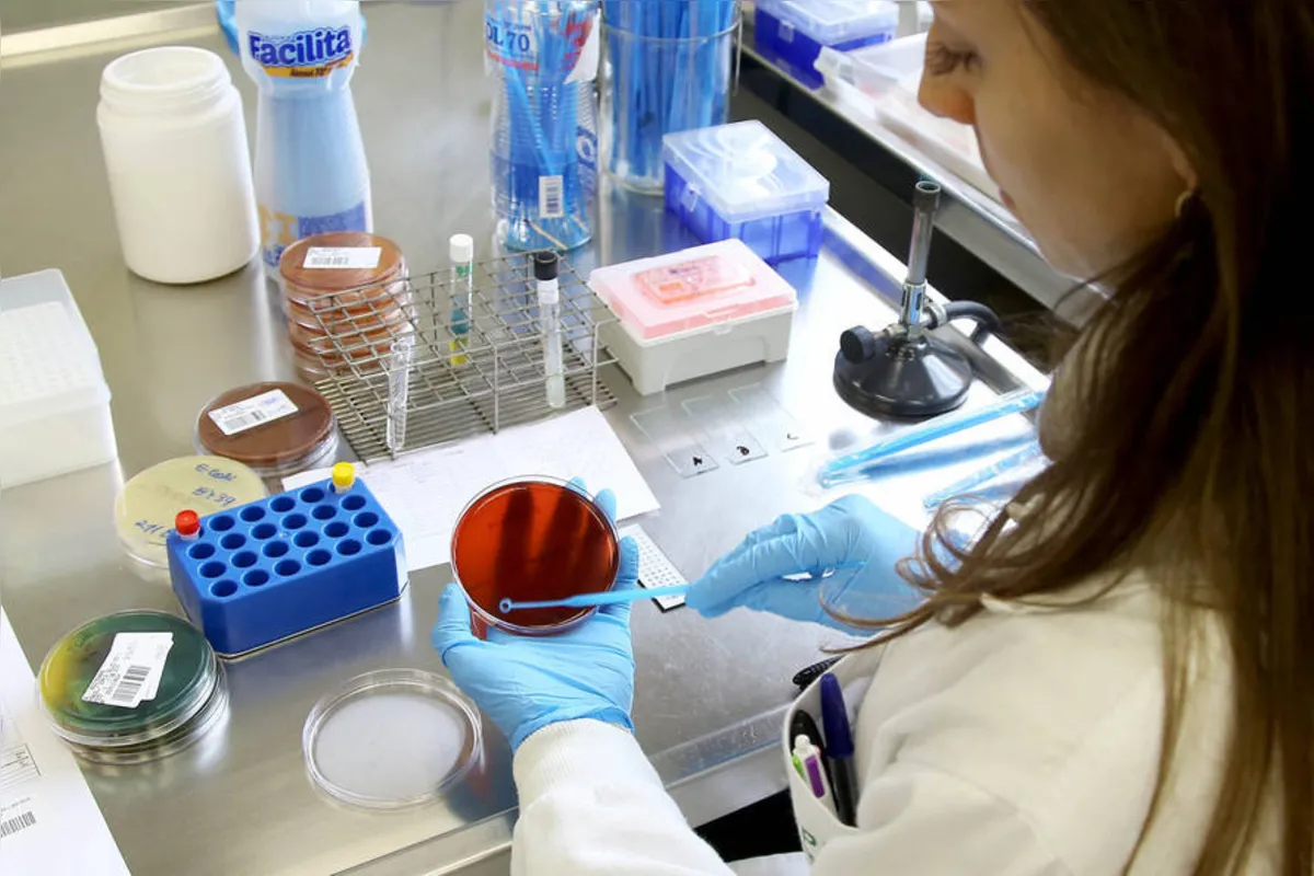está prestes a receber a habilitação do Lacen (Laboratório Central do Paraná) para a realização dos testes de diagnóstico da Covid-19.
